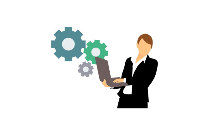 software professional